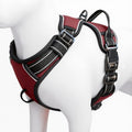 No Pull Dog Harness, No-Choke Soft Padded Reflective Dog Vest Harness with Front Clip & Top Handle, 2 Quick-Release Buckles, Adjustable for Small Medium Large Dogs - color: Neon Fuchsia, size: X-Small
