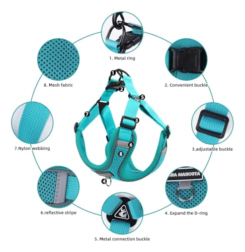 Dog Harness and Leash Set, Adjustable Triangle, Reflective Adjustable Puppy Vest, No Pull Soft Mesh Harness for Small, Medium Dogs, Cats (Turquoise, M) - color: Turquoise, size: M