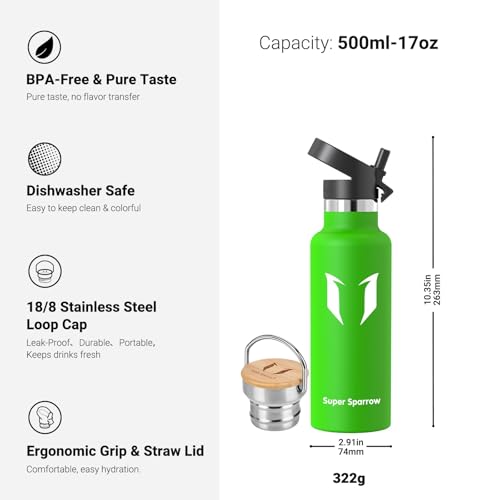 Sparrow Metal Water Bottle with Straw - Insulated Water Bottles Kids 500ml - color: Apple Green, size: 16.9 Ounces