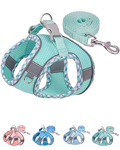 Petank Step in Dog Harness No Pull and Leash for Small Medium Dogs Cats. - color: Green, size: XXS