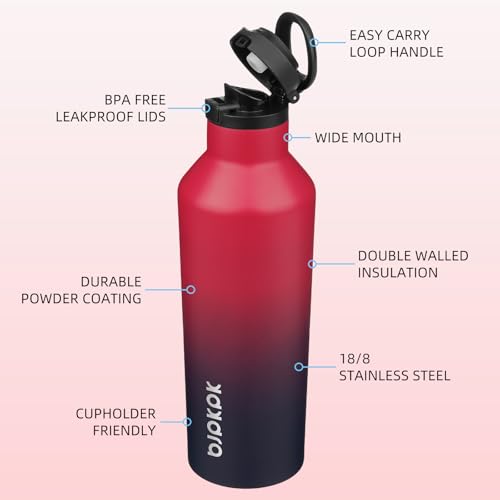 BJPKPK 25oz Insulated Thermal Water Bottle, Straw & Handle, Stainless Steel - color: Charming Black Red, size: 25 Ounces