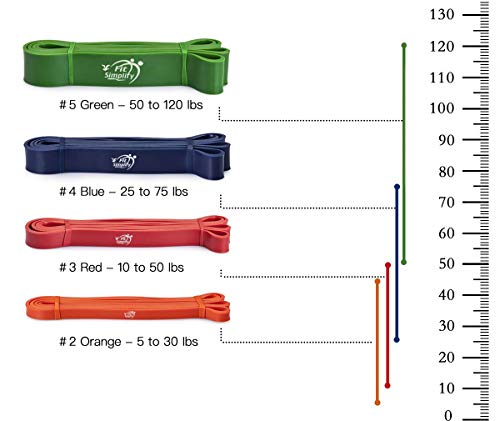Fit Simplify Pull Up Assist Resistance Bands for Fitness, Physical Therapy, Stretching, Mobility and Exercise - color: Green
