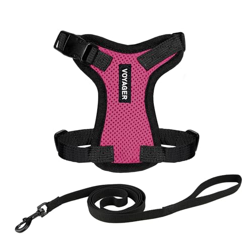 Voyager Escape-Proof Step-in Harness & Leash - Fuchsia/Black Trim, XXXS - color: Fuchsia/Black Trim, size: XXXS (Chest: 10.5 - 13")