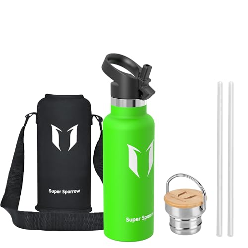 Sparrow Metal Water Bottle with Straw - Insulated Water Bottles Kids 500ml - color: Apple Green, size: 16.9 Ounces