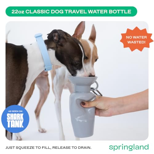 Springland 22oz Classic Portable Dog Water Bottle with Built-in Bowl, Gray - color: Gray, size: 22oz Classic