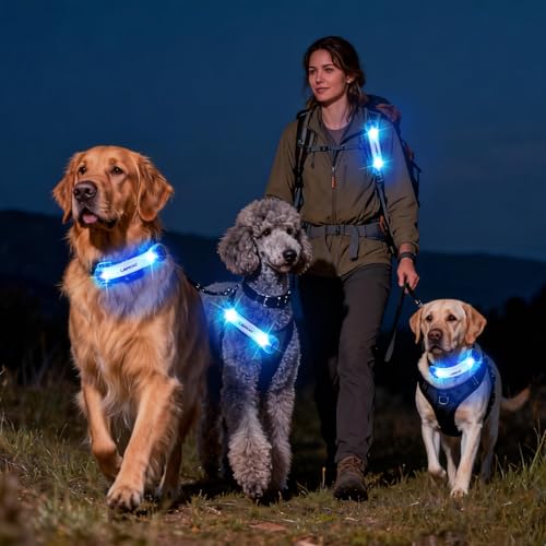 LaRoo LED Dog Safety Light Strip, Hook & Loop for Harness Collar Leash Blue - color: Blue