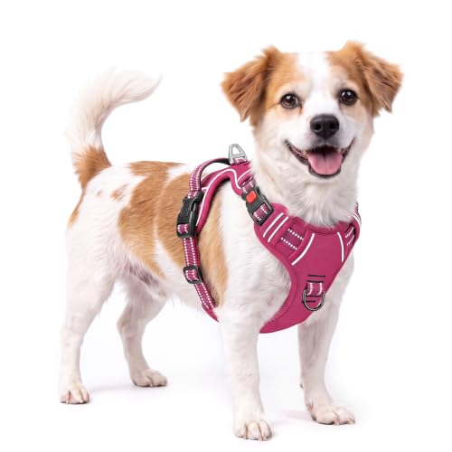 HEELE Dog Harness, Neck Release, No Pull Front Clip Vest, Reflective Rosy S - color: Lock Rosy, size: S (Pack of 1)