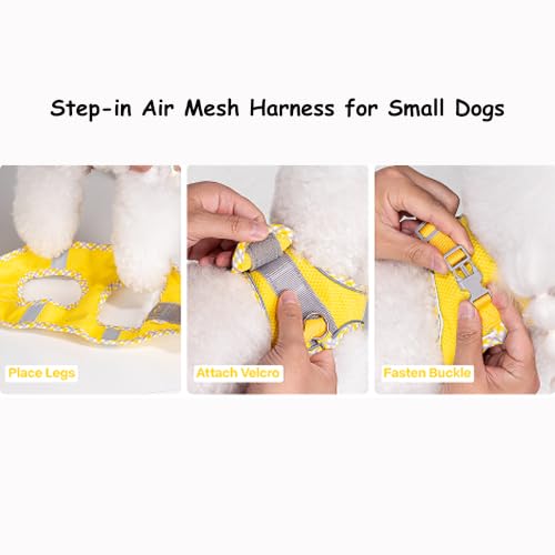 Petank Step in Dog Harness No Pull and Leash for Small Medium Dogs Cats. - color: Yellow, size: XXXS