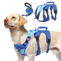PUPTECK Escape Proof Dog Harness and Leash Set Upgraded No Pull Reflective Dog Vest with Lift Handle, Easy Control Pet Harness for Medium Large Dogs Training Walking Running, Blue, L - color: Blue/Sky, size: Large