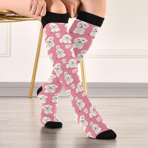 Snowflake Red Christmas Compression Sock for Women Men Funny Support Knee High Socks Running,Nurses,Travel - color: Maltese Dogs