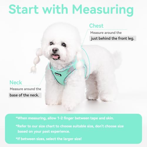 Petank Step in Dog Harness No Pull and Leash for Small Medium Dogs Cats. - color: Green, size: XXXS