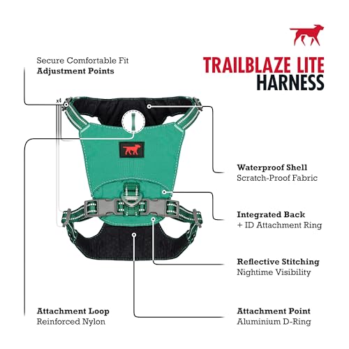 Tuff Pupper All-Day Wear Dog Harness | for Walking, Trail Running, Hiking | Front & Back Leash Clips | Reflective Trim | Easy On/Off Buckles | Lightweight Breathable | No Pull Design (Small, Teal) - color: Tropical Teal, size: Small