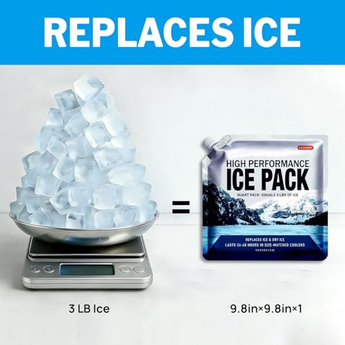 Reusable Ice Packs for Coolers 2 Pack, Long Lasting Gel Freezer Packs for Cooler Bag, Large Lunch Boxes & Backpack, Cold Blocks for Food (9.8" x 9.8") - size: Medium-2pk
