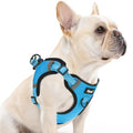 PUPTECK Dog Harness Small Sized Dog, Step in Adjustable Reflective Dog Vest Harness Escape Proof, No Pull Soft Padded Harness Easy Control, Blue, M - color: Blue, size: M (CHEST: 14.5"-20")