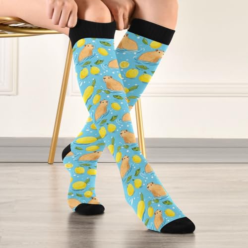 Wusikd Heartbeat Symbol Compression Socks for Women and Men Circulation Black Long Socks for Athletic Running 1 - color: Capybaras