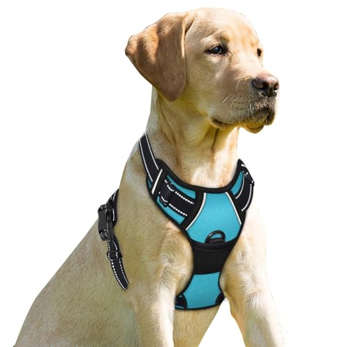 BARKBAY Dog Harness No Pull for Small Sized Dog Front Back Clips,Dog Vest - color: Blue, size: X-Small(Chest:15.5-19.5”)