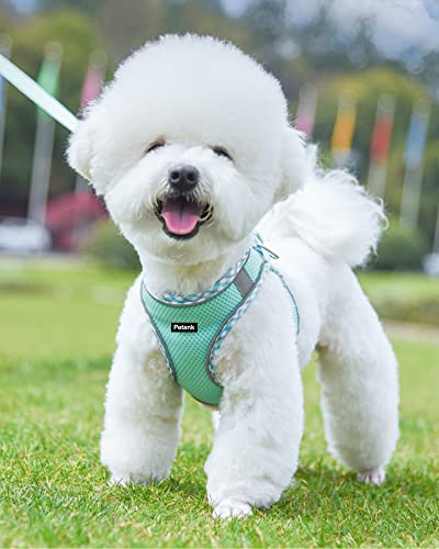 Petank Step in Dog Harness No Pull and Leash for Small Medium Dogs Cats. - color: Green, size: XXS