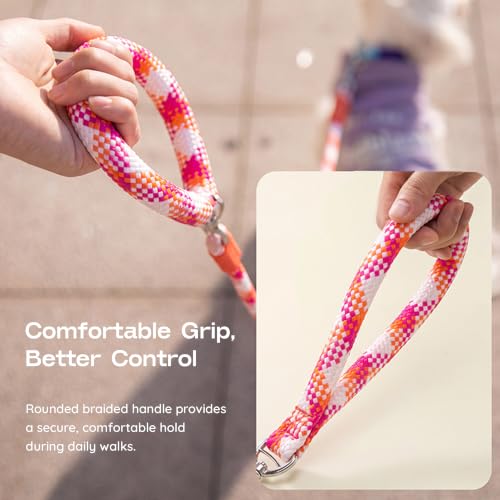Slip Lead for Dogs, 5FT Rope Training Leash, Padded Handle,Pink - color: Light Pink