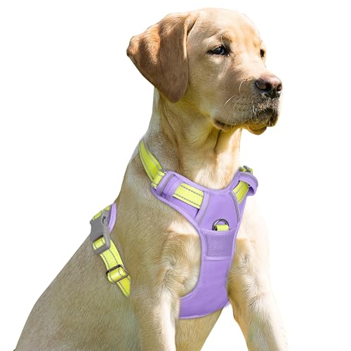 BARKBAY Dog Harness No Pull for Small Sized Dog Front Back Clips,Dog Vest - color: Violet Purple & Sunlight, size: X-Small(Chest:15.5-19.5”)