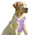 BARKBAY Dog Harness No Pull for Small Sized Dog Front Back Clips,Dog Vest - color: Violet Purple & Sunlight, size: X-Small(Chest:15.5-19.5”)
