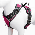 No Pull Dog Harness, No-Choke Soft Padded Reflective Dog Vest Harness with Front Clip & Top Handle, 2 Quick-Release Buckles, Adjustable for Small Medium Large Dogs - color: Hot Pink, size: X-Small