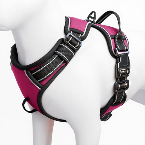 No Pull Dog Harness, No-Choke Soft Padded Reflective Dog Vest Harness with Front Clip & Top Handle, 2 Quick-Release Buckles, Adjustable for Small Medium Large Dogs - color: Hot Pink, size: X-Small