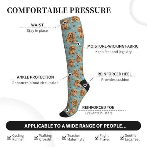 Cute Dog Compression Socks Women Men, Dog Lover Gift - color: Cocker Spaniel