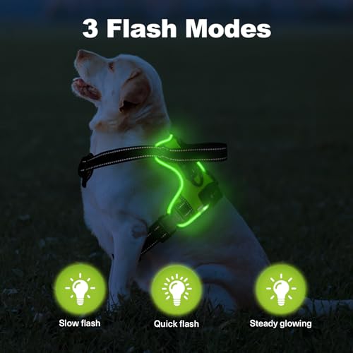 MASBRILL Led Dog Harness - No Pull, Light Up, Rechargeable Reflective Glow Vest for Small to Large Dogs - color: Green, size: L