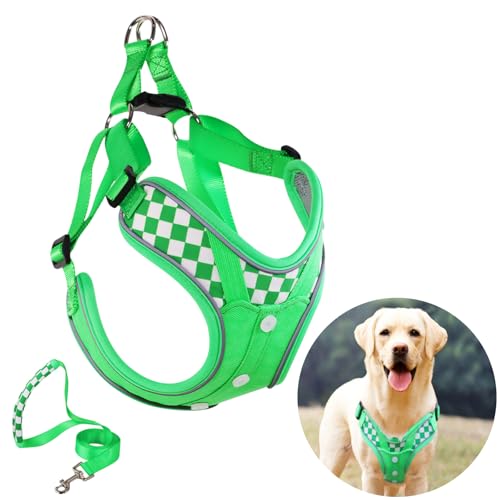 Dog Harness with Leash Set, No Pull Adjustable Step in Pet Vest - color: Green (denim), size: L