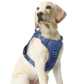 rabbitgoo Tactical Dog Harness Medium Sized, No Pull Service Pet Vest - color: Blue, size: M(chest:20.1"-33.9",neck:17.7"-22.3",back:7.5")