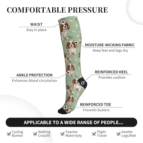 Cute Dog Compression Socks Women Men, Dog Lover Gift - color: King Charles Cavalier2