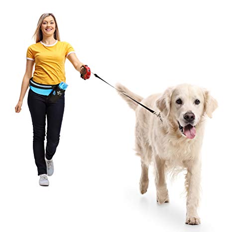 Running Belt Sport Waist Pack with Water Bottle Holder Hydration Belt Fanny Pack Reflective Stripes Cellphone Storage Earphone hole for Dog walker Hiking Travel (Whole BLACK) - color: BLACK