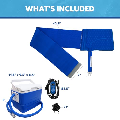 Polar Active Ice 3.0 Cold Therapy Ice Machine System with Programmable Timer, Back and Hip Compression Pad, Lightweight 9 Quart Cooler, Quiet Pump, Strong Cryotherapy Pain Relief Treatment - style: Back Hip Pad
