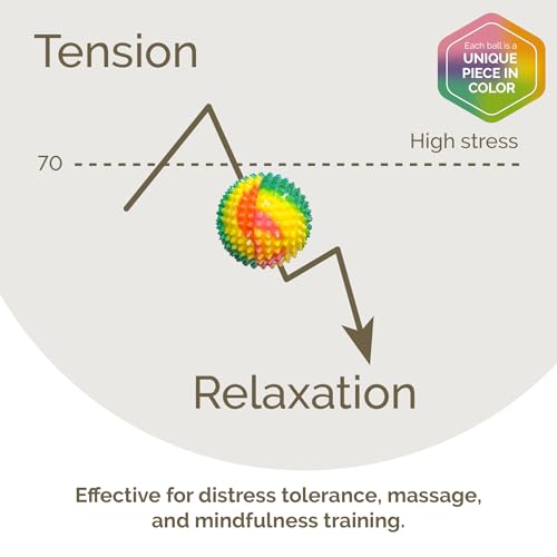 2X Spiky DBT Skill Balls | Magnetic Stress Relief Balls | Spiky Massage Balls for Relaxation, Tension Release, Focus & Mobility (Rainbow, 2 Inch) - color: Rainbow, size: 2 inches