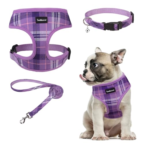 SCENEREAL No Pull Dog Harness and Leash Set Small Medium Sized Dog - color: Purple, size: M: Chest Girth: 17"-21"