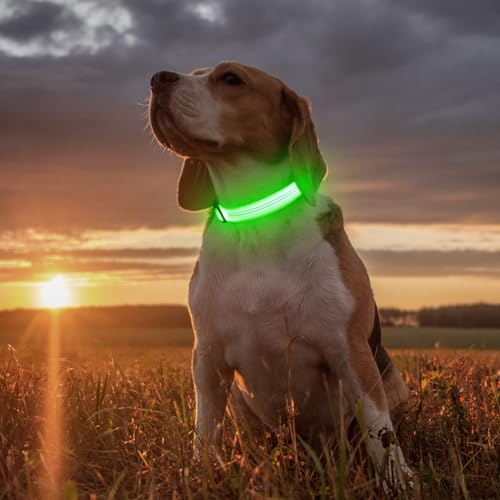 Illumifun Light Up Dog Collar - USB Rechargeable LED Dog Collar, Adjustable Lighted Pet Safety Collar for Night Walking (GreenⅢ, Small) - color: GreenⅢ, size: Small