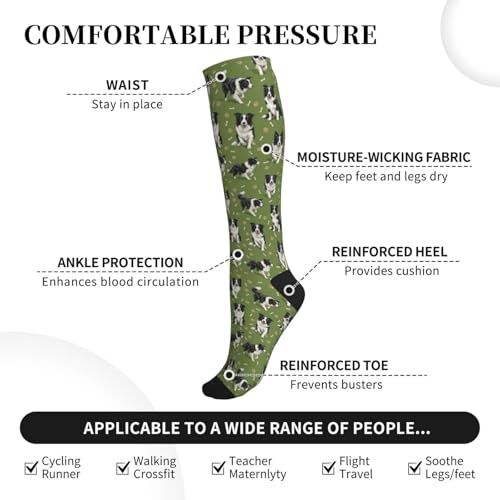 Cute Dog Compression Socks Women Men, Dog Lover Gift - color: Border Collie
