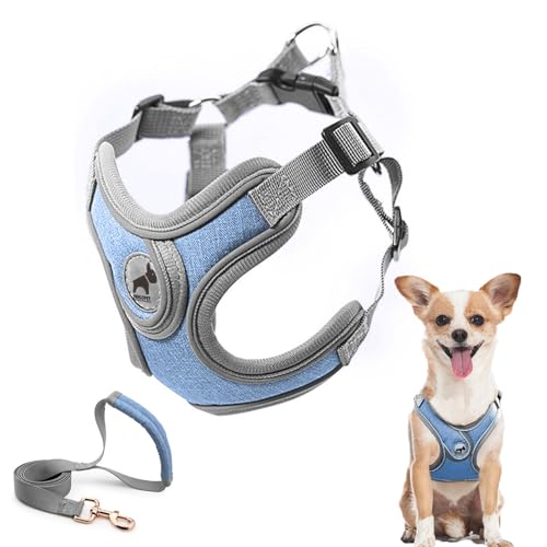 Dog Harness with Leash Set, No Pull Adjustable Step in Pet Vest - color: Blue, size: XS