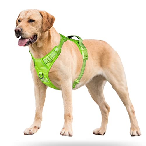 PoyPet No Pull Dog Harness, Reflective Vest with 2 Leash Clips & Handle - color: Green(Matching Trim), size: S