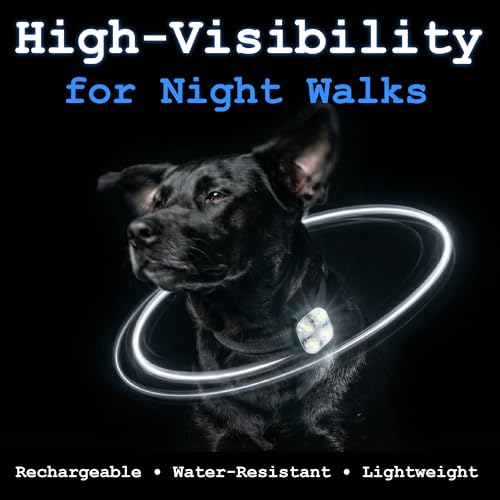 Dog Collar Light, Rechargeable LED Dog Safety Light for Night Walking, Clip-On or Strap-On Pet Light for Collar, Harness and Leash, High Visibility, Water-Resistant, USB-C, White - color: White