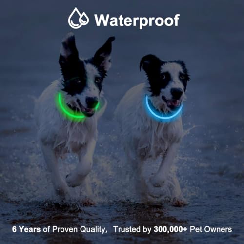 Novkin 2-Pack LED Dog Collar, Light Up Dog Collars,Rechargeable Dog Lights for Night Walking，Universal, Reusable Safety Necklace for Small Medium Large Dogs Green&Blue - color: Green&Blue
