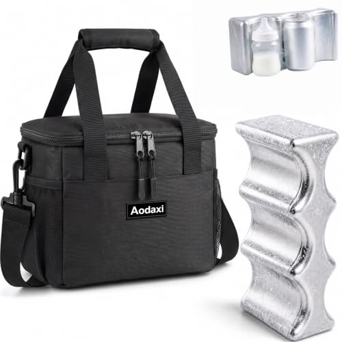 Insulated Lunch Bag with Reusable Stainless Steel Ice Pack, Cooler for Drinks, Meals and Snacks, for BBQ, Picnic, Camping and Road Trips
