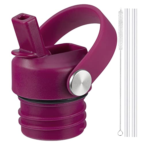 RRegeny Straw Lid fits Hydro Flask Standard Mouth, 21 24 oz, Sports Flex Cap Water Bottle Accessories Replacement Top - color: eggplant purple+1pack