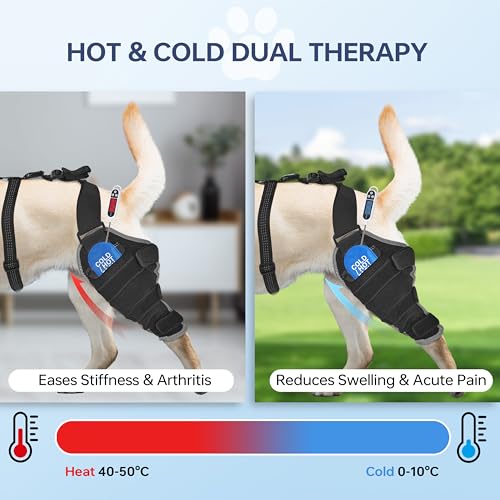 Kolmmeo Dog Knee Brace for Back Leg - Adjustable Breathable Canine Leg Wrap with Hot & Cold Gel Packs - Supports Large & Medium Dogs with Arthritis, Hip Dysplasia, ACL Injuries, Right Hind Leg (L)