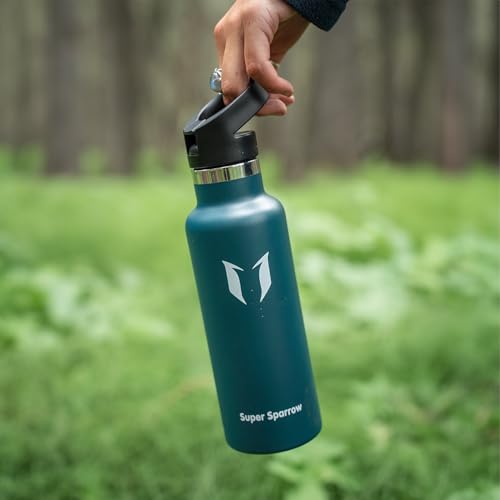 Sparrow Metal Water Bottle with Straw - Insulated Water Bottles Kids 500ml - color: Dark green, size: 16.9 Ounces