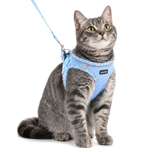Rttochfy Cat Harness and Leash Set, Escape Proof Kitten Harness, Soft and Breathable Vest with Reflective Strip, Easy to Wear for Cats Walking and Traveling (Blue, XS) - color: Blue, size: XS (Chest:12.5"-14")