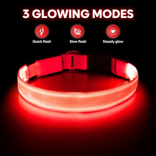 Illumifun Light Up Dog Collar - USB Rechargeable LED Dog Collar Glow in the Dark, Adjustable Pet Collar Light for Night Walking (Red, Medium) - color: Red, size: Medium