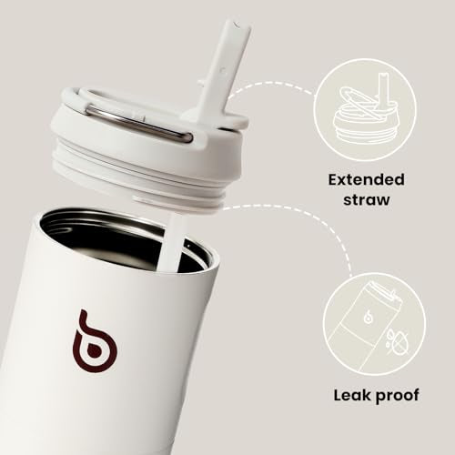 BOTTLE BOTTLE Insulated Water Bottle 24oz with Straw Lid and Handle Sports - color: Light Gray