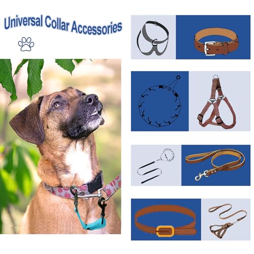 Adjustable Dog Collar Safety Backup Clip, Blue - color: Blue, size: M(7.2~8.7 in adjustable length x 0.6 in width)