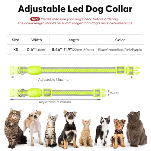 Flashseen LED Dog Collar, Light Up Dog Collar USB Rechargeable, Green, XS - color: Green, size: X-Small